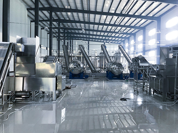 Коллагеновая пептидная инженерия